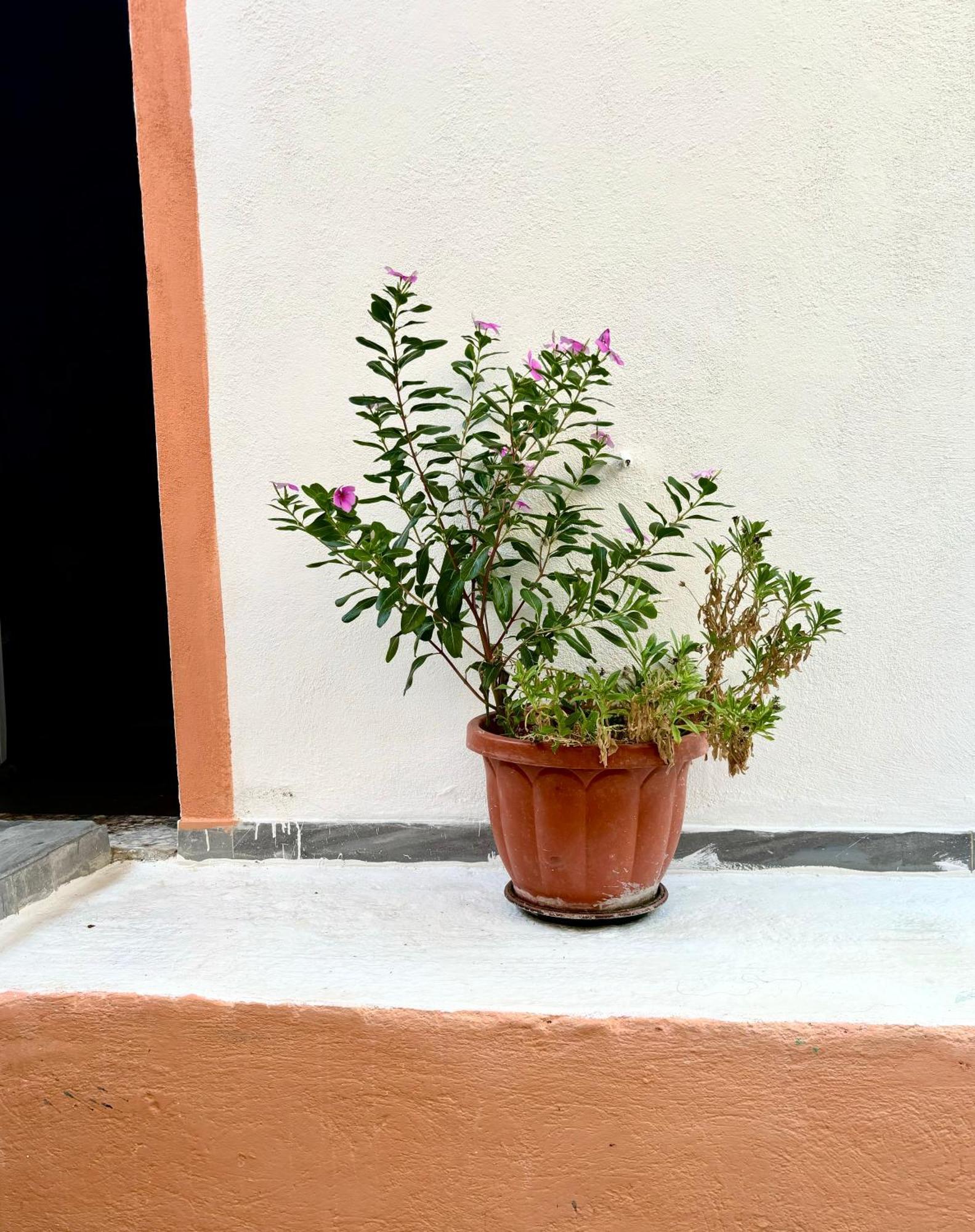 Traditional Corfiot House Perivolion Exterior photo