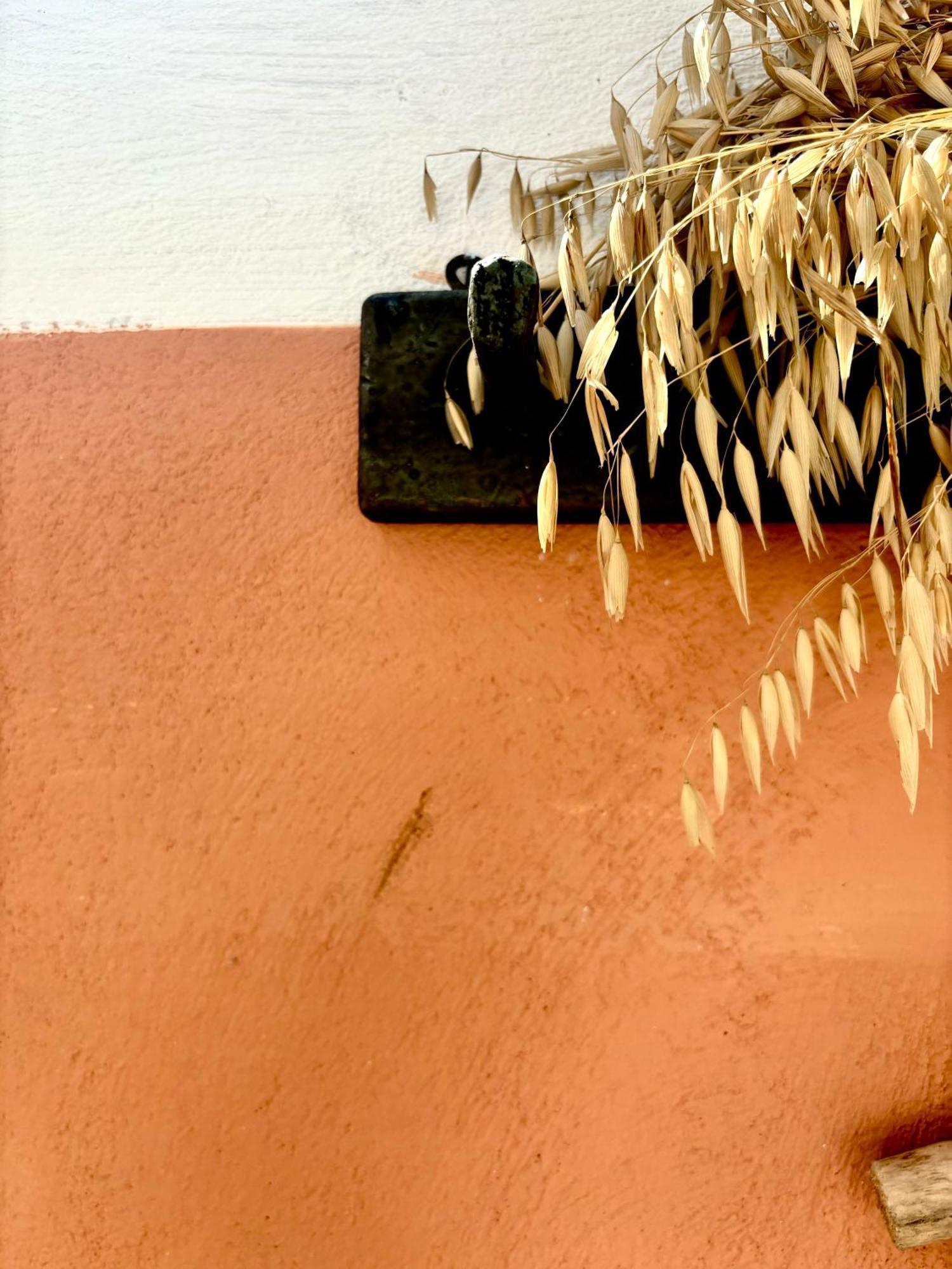 Traditional Corfiot House Perivolion Exterior photo